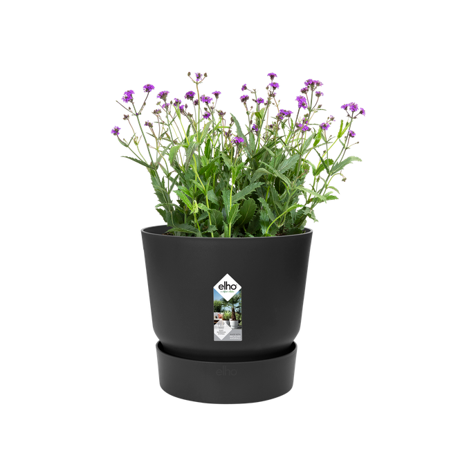 greenville round 20cm living black